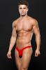 envy_-_microfiber_lowrise_zip_thong_sm_red