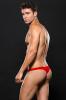 envy_-_microfiber_lowrise_zip_thong_sm_red