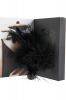 pom-pom_feather_tickler