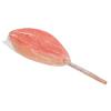 out_of_the_blue_-_vagina_lolly_-_saveur_fraise