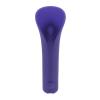 evolved_novelties_-_full_coverage_-_purple