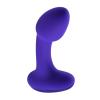 evolved_novelties_-_anybodys_plug_-_violet