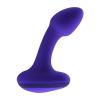 evolved_novelties_-_anybodys_plug_-_purple