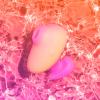 romp_by_womanizer_-_kiss_kompakter_vibrator