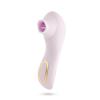 blush_-_delice_fleur_luftimpuls-vibrator_-_barely_purple