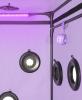 secretdome__scandale__purple