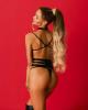 obsessive__premisis_harness__schwarz
