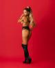 obsessive__premisis_harness__schwarz
