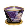 shunga_-_massage_candle_exotic_fruits_170_ml