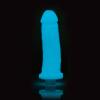 clone-a-willy_-_kit_glow-in-the-dark_blue