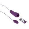 b_swish_-_bnaughty_deluxe_vibrating_bullet_royal_purple