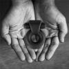 velvor__rooster_travis_cock_ring__bulky_vibrating_bullet