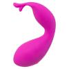 swan_-_the_swan_kiss_pink