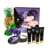 shunga_-_geishas_secret_kit_exotic_fruits