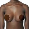 bye_bra_-_fabric_nipple_covers_one-size_brown
