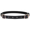 sportsheets_-_sex__mischief_double_buckle_day_collar