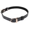 sportsheets_-_sex__mischief_double_buckle_day_collar