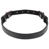 sportsheets_-_sex__mischief_double_buckle_day_collar