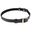 sportsheets_-_sex__mischief_double_buckle_day_collar