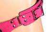 bodice_deluxe_leather_strap_on_-_pink