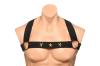 xr_brands_-_chest_harness_with_armbands_-_black