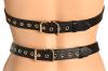 xr_brands_-_body_harness_for_women_-_black