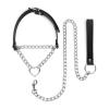 bedroom_fantasies_-_collar_with_leash_-_silver