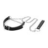 bedroom_fantasies_-_collar_with_leash_-_silver