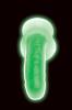 glow_in_the_dark_realistic_dildo_with_balls_-_green