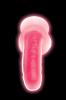 glow_in_the_dark_realistic_dildo_with_balls_-_pink