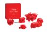 bijoux_indiscrets__happily_ever_after_bridal_box__rosso