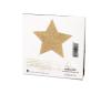 bijoux_indiscrets__flash_star_body_art__or