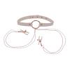 sportsheets_-_sm_peaches_n_creame_collar_with_nipple_clamps_cream