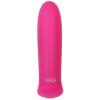 evolved_-_pretty_in_pink_bullet_vibrator