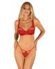 lonesia_lace_bra_set_with_sexy_skirt_-_red