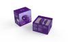 We-Vibe Sync 2 - Paars