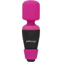 Bolsillo PalmPower