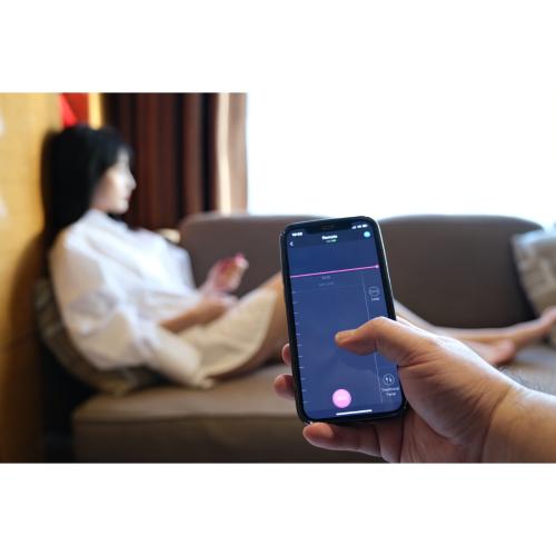 Lovense - Ferri Panty Vibrator - Roze