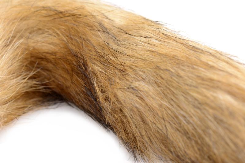 TAILZ - Plug Anal en Verre avec Queue de Renard 8