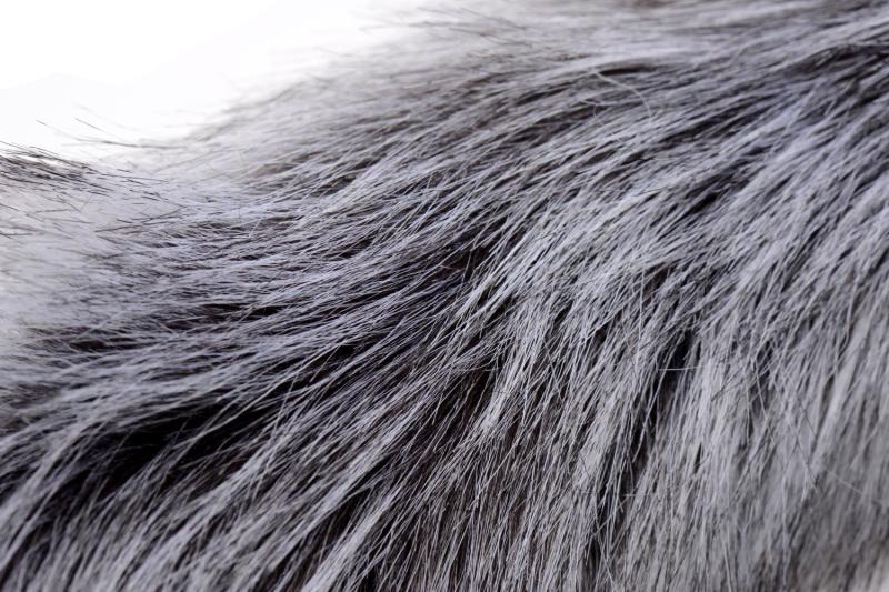 TAILZ - Plug Queue de Loup Gris & Oreilles 6