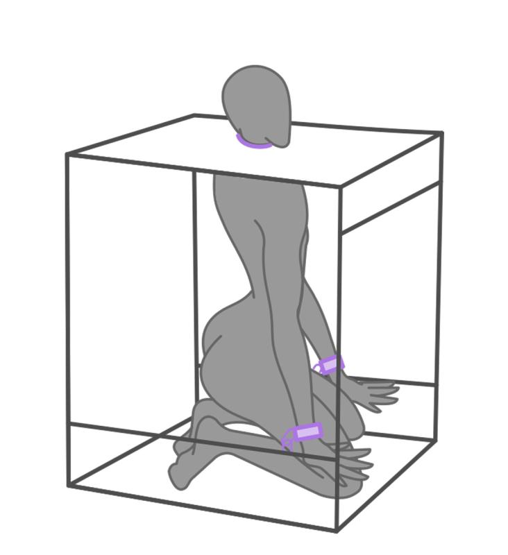 Secretdome – BUKKAKE – Violet 2