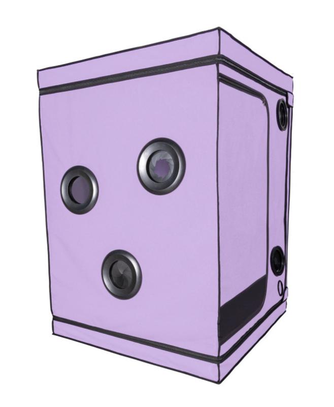 Secretdome – SCANDALE – Violet 2