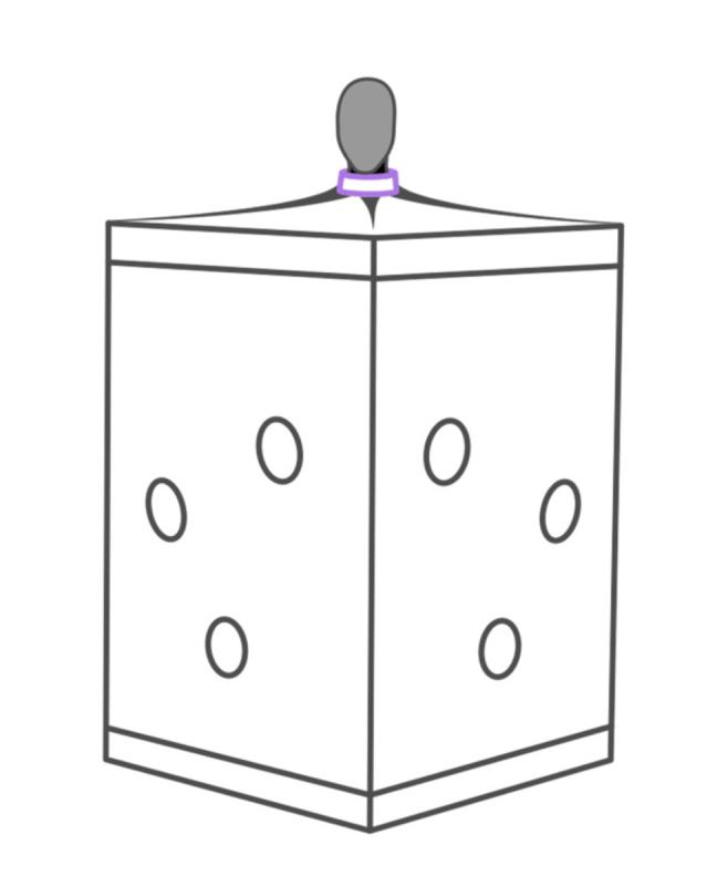Secretdome – SCANDALE – Violet 3