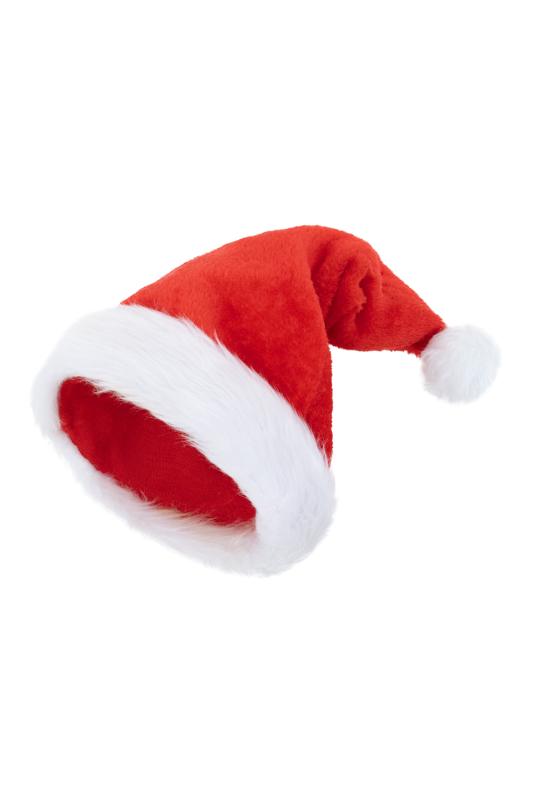- Sexy Santa Hat 4