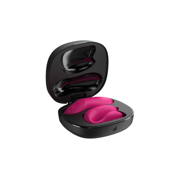 – Chorus Pro – Rose 10