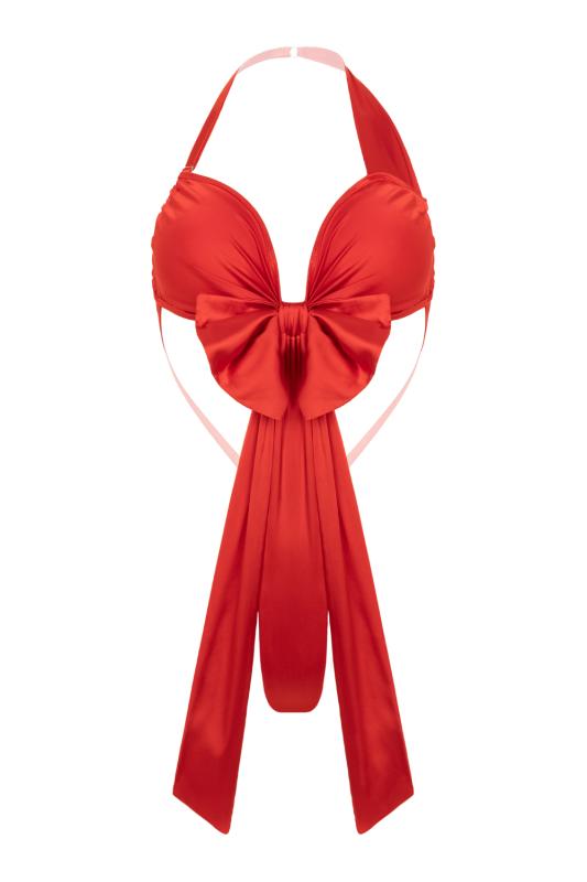 - Santa's Special Gift Body - Rouge 4