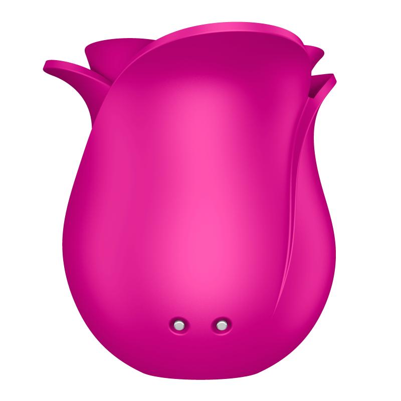 Pro 2 Modern Blossom 7