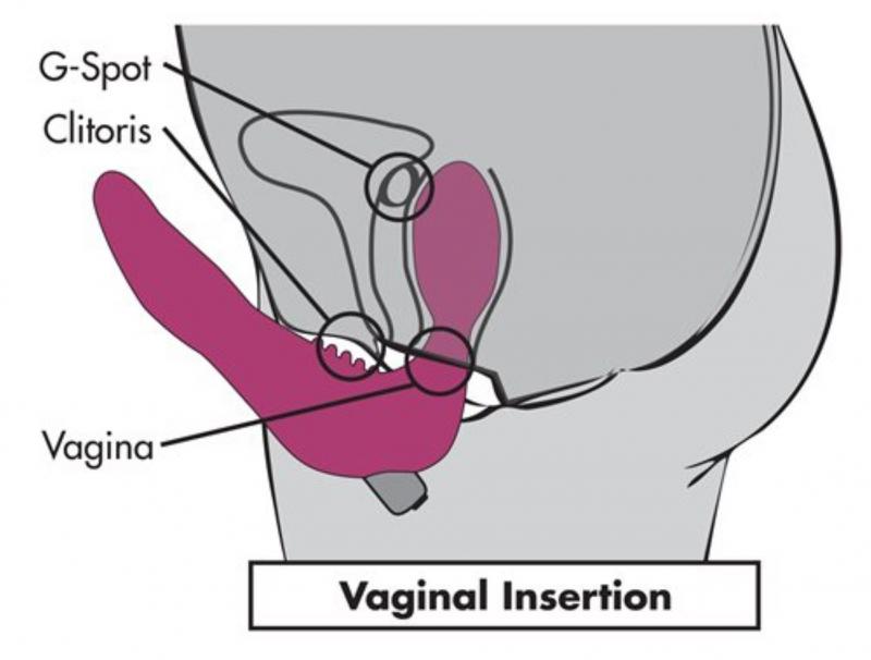 Infinity Gode-ceinture vibrant sans harnais - Rose 5