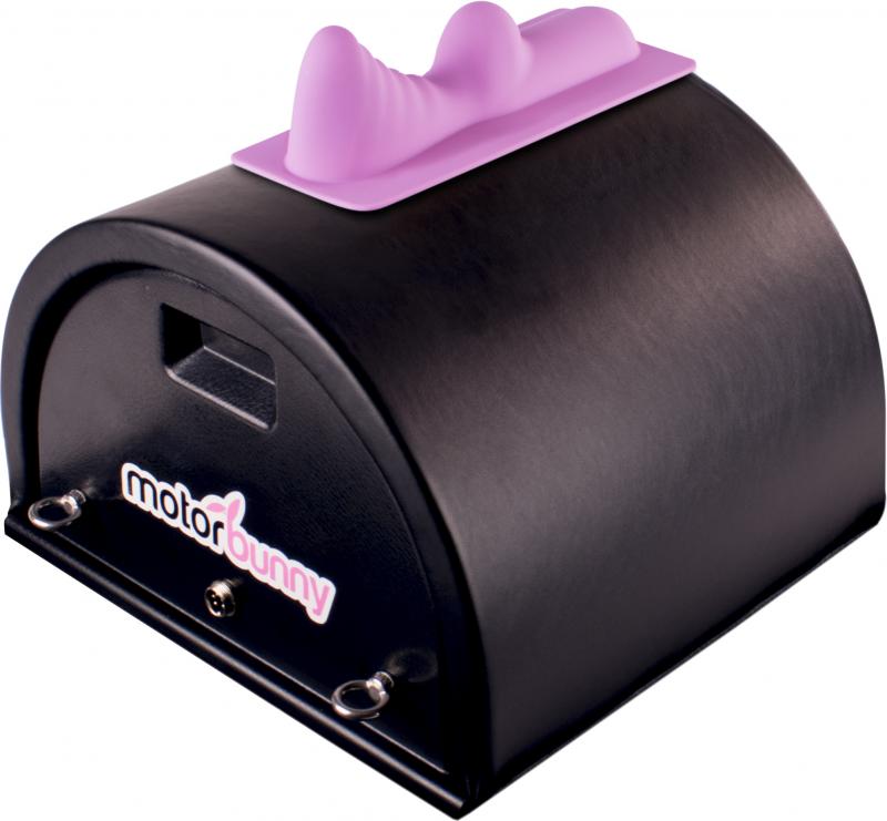 Accessoire Mount Gushmore - Rose 2