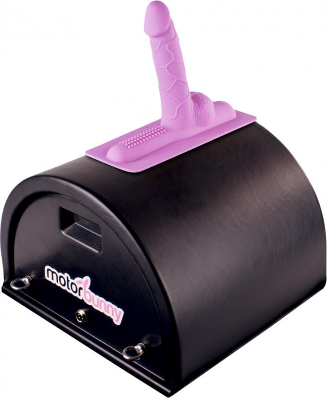 “My Friend Dick” accessoire pour - Rose 2